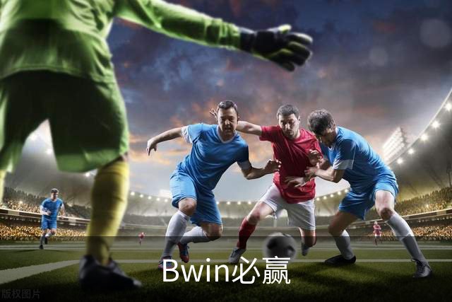 Bwin必赢公司介绍图